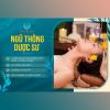 ngu-thong-duoc-su-dieu-tri-co-vai-gay - ảnh nhỏ  1